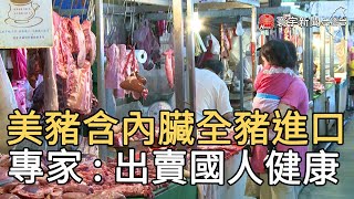 美豬含內臟全豬進口 專家 : 出賣國人健康｜寰宇新聞20200903