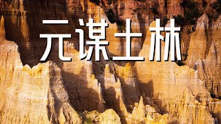 云南旅行一定不能错过的风景#shorts #travel