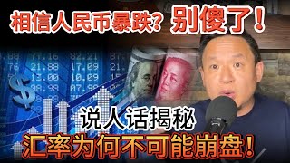 老王来了：底层逻辑娓娓道来！人民币汇率为何不可能暴跌  |  大老王首创的青海湖理论用人人能懂的大白话告诉你，不要再被骗了 #大老王 #人民币 #汇率 #经济