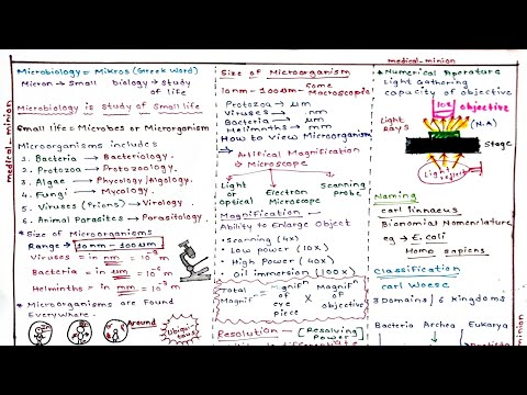 Introduction of Microbiology (Video-2)|Medical Minion|Microscopy