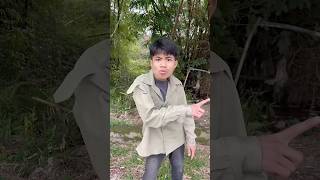 Chú chó dễ thương nhảy cao - Cute dog jumping high🐶🐶🐶🐶 #shorts#1262