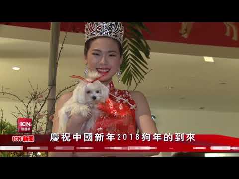 庆祝中国新年2018狗年的到来