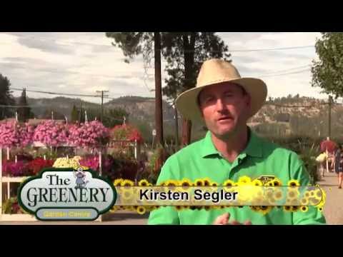 The Greenery Open House 2016
