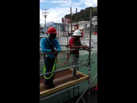 Scaffolding