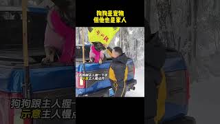 狗狗是宠物但他也是家人#治愈 #宠物