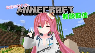 マイクラ Minecraft 洞窟と崖のアップデート vol.1 Vtuber北白川せれかの雑談配信
