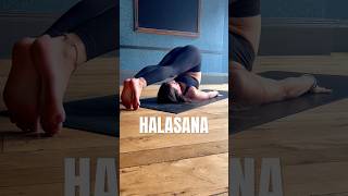 How to do HALASANA (Plough Pose) in Yoga #yoga #halasana #ploughpose