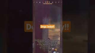 Dog Streak on #cod #vanguard #multiplayer #dashaus #captainbirtdag #runandgun #nocamping