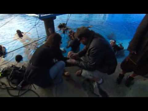 POTC - At World's End - Acting Below the Surface