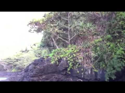 Turtle Cove