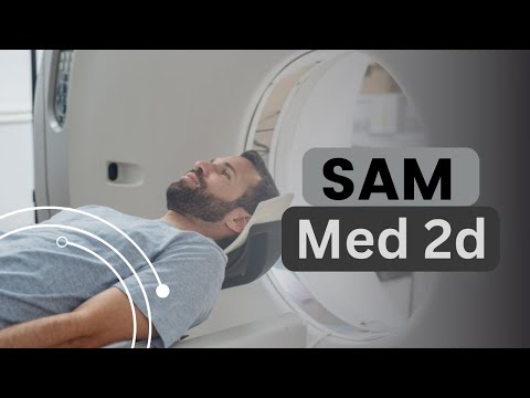 SAM Med2D: Revolutionizing Medical Image Segmentation | Segment Anything Model