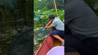"Relaxing Fishing 🐟Trip - Peace, Patience, and BigRewards!"😯🔥#shorts #trending #fishing #fish #hook