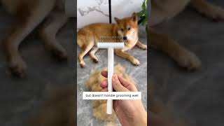 Make brushing easy with this Pet Knot Removal Comb—grab one now! 😻✨