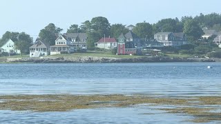 Maine lobsterman captures rare encounter with great white shark