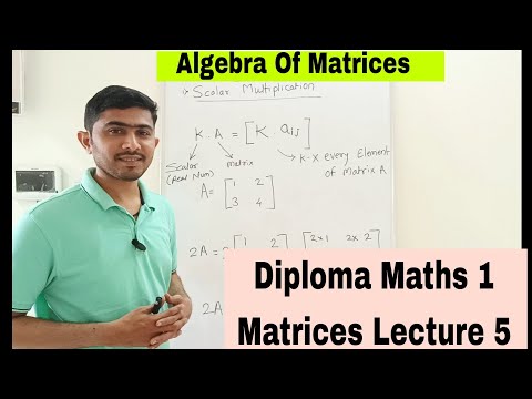 Diploma | Maths 1| Matrices | Lecture 5 #engineering #maths #matrices