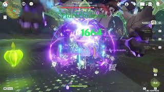 Hyperbloom team. Raiden + Beidou
