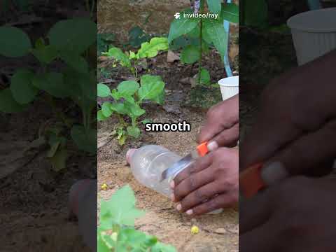 TOP 5 LIFE HACKS WITH JUST A PLASTIC BOTTLE! #fyp #reallifehacks #facts #plastic #top5 #bottle