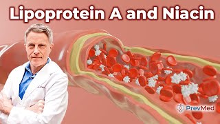 High LP(a)? Niacin Can Help