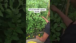Gardening tips #gardening #greenthumb #healthylifestyle #grow #plants #food