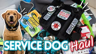 Huge Service Dog Haul