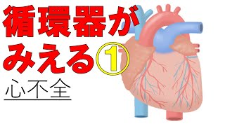 【心不全】これでクリア！心不全の病態と薬物治療の関係　医療系学生必見！