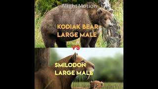 Kodiak Bear Vs Smilodon Populator