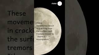 Moonquake. #shorts