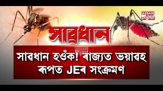 জাপানীজ এনকেফেলাইটিছত মৃত্যুৰ সংখ্যাই পাৰ কৰিলে ৩০ৰ ঘৰ
