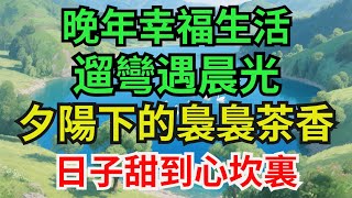 晚年幸福生活，遛弯遇晨光，夕阳下的袅袅茶香，日子甜到心坎里#晚年生活#晚年岁月#家庭和睦#故事分享