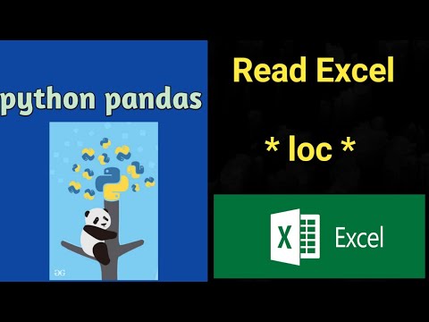 Python Pandas Read Excel using **loc**