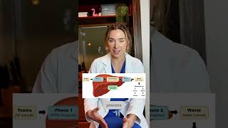 You DONT need a detox!!! #doctortips #livercleanse #liverhealth #liver #healthtips