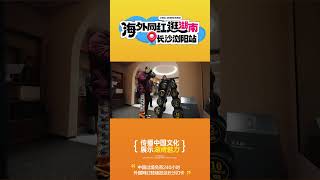 中国过境免签240小时，外国网红陆续抵达湖南长沙游逛。 #changsha