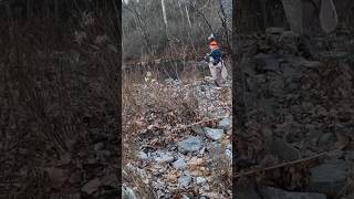 Someone is ALWAYS snagged up😂🌳☠️.  #fyp #fishpa #trees #flyfishing #pennsylvania #orvis #lamson
