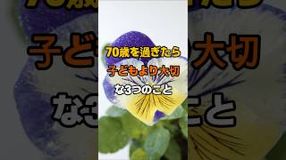 70歳過ぎたら子どもより大切な3つ #名言 #知恵 #人生助言 #良い言葉