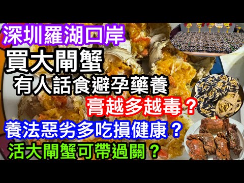 深圳羅湖口岸買蟹帶回港（精華版）｜活大閘蟹點解可過關不違法｜有人話口岸大閘蟹都是食避孕藥大｜越爆膏越有問題｜養法惡劣多吃損健康？｜傳言都是真的嗎