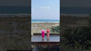 臺幣百元坐整天❣️台灣東海岸最美海景咖啡廳 下樓梯直通大海🌊|#cafevlog |貪吃熊貓遊台東