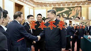 【辱包】资本不来（原曲：爱情买卖）