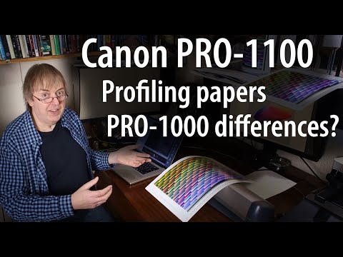 Canon PRO-1100 vs PRO-1000. Printer profiling. Are the inks really that different? Will you notice?