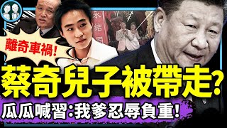 蔡奇兒子蔡爾津被中紀委帶走；薄瓜瓜婚宴致辭替爹鳴冤、向習示威？火箭軍司令王厚斌落馬，習近平完了…（老北京茶馆/第1293集/2024/12/01）