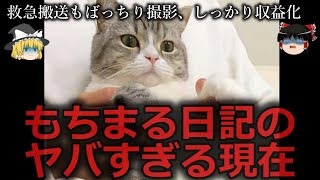 【ゆっくり解説】鬼畜...もちまる日記のヤバすぎる現在をゆっくり解説