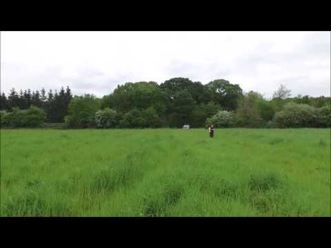 Rase motte près de Saint Léger les Vignes