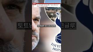 포스테코글루 토트넘의 New 감독!