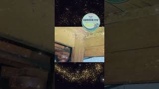 蟑螂為什麼那麼難消滅？因為牠太會躲#象勤環境消毒工作室 #專業滅蟲 #環境消毒 #病媒防治#蟲害防治 #蟑螂最會藏 #你看到的只是冰山一角#飲料店首選 #連鎖飲料店 #餐廳衛生#免費現勘中 #立即預約