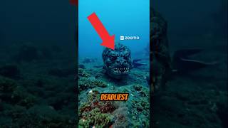 TOP 5 DEADLIEST AND STRONGEST SEA CREATURES! 😱😨 #scary #shorts