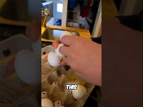 How many eggs can you hold? Back to programming streams soon #eggchallenge #holdyoureggs