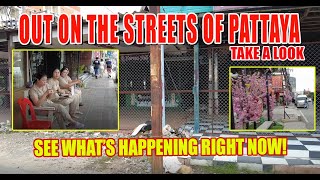 Pattaya Uncovered! 🚶‍♂️ What's NEW, Hot & Happening RIGHT NOW!