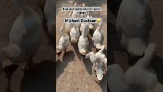 Have you ever seen Michael Duckson dancing?😂😂 #funny #funnyvideo  #lol  #jokes  #michaeljackson