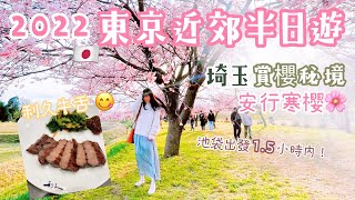 2022 Cherry Blossoms in the suburbs of Tokyo🌸 Lijiu Beef Tongue｜Convenience Stores｜Japan VLOG