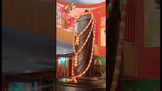 #bholenath #ganga #shortsviral #shortsfeed #shorts #short #shortvideo #shortsyoutube #shortsbeta
