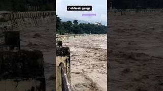 Ganga water flow in Rishikesh #rishikesh #gangariver #haridwar #yamuna #flood #raining